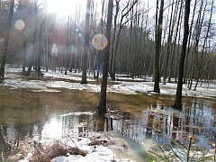 Thaw in Kobylok and Mała Panew River
